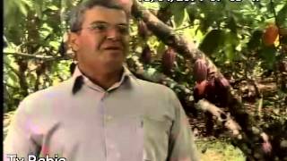preview picture of video 'Fazenda Engenho Dágua Bahia Rural'