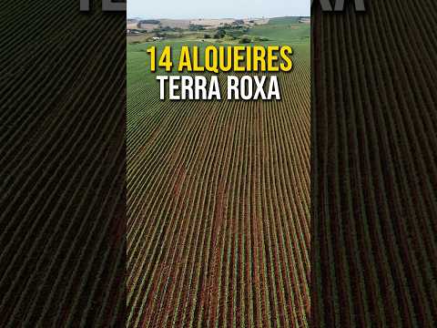 14 Alqueires de Terra Roxa | Norte do Paraná