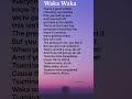 Waka Waka This Time For Africa Shakira Lyrics Wakawaka Lyrics