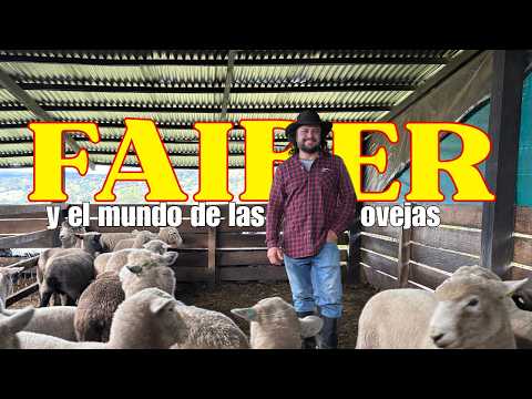 El MUNDO de las OVEJAS en COCUY, BOYACÁ