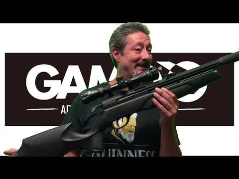 Gamo Arrow 177 caliber out of the box review.
