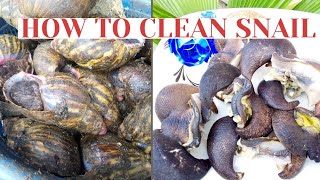 How To Clean Snail (Remove Snail Slime) II 4 Methods to Wash Snails II Doris Etito