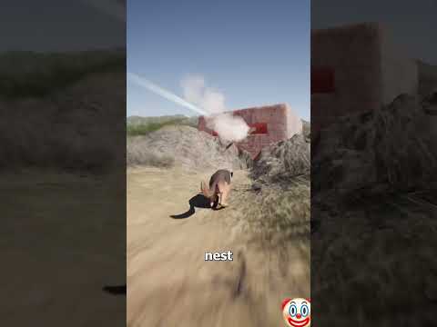 The hero war dog ☠️ #gaming #puppy #shortviral #facts