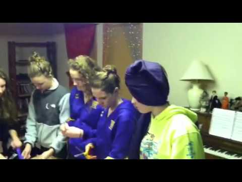 Wenatchee High School girls state swim team 2012