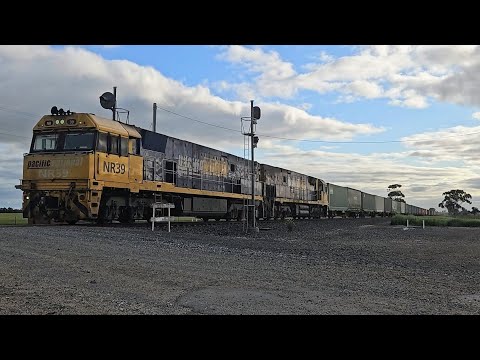 3PM6 PN up "Linfox Express #1" (NR39 & NR44, 97P), Perth to Melbourne, 1715, 3/10/25, Dooen VIC 