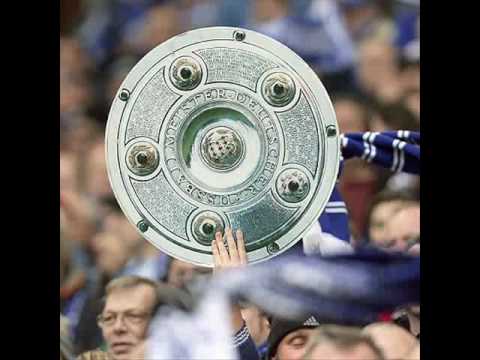 IBO - Blau und Weiß