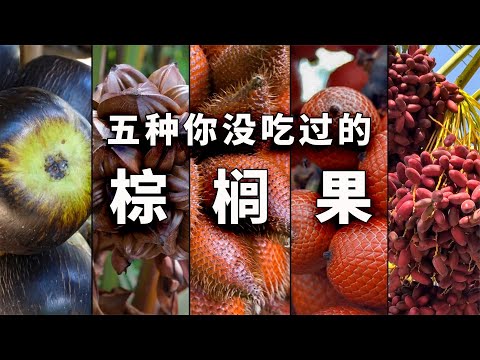 柳榕果實可以吃嗎