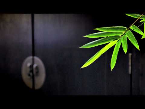 Feel Ft. Voumix - Dance For Life