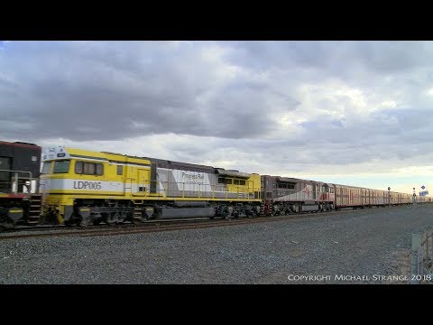 SCT 3PM9 Freight Train With LDP005 (6/4/2018) - PoathTV Australian Railways