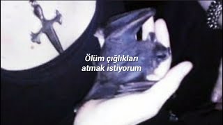 Acid Bath - Finger Paintings Of The Insane | Türkçe Çeviri