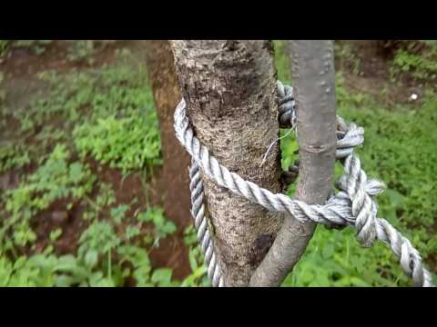 Bluboo Maya camera review 1080p sample @ 29fps