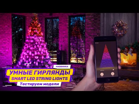 Бизнес с Китаем: Умные гирлянды Smart LED String Lights оптом из Китая. Тест обзор двух моделей