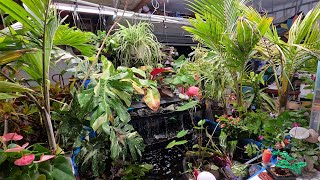 Moving Hundreds of Plants Into My Garage Garden Growspace For Winter