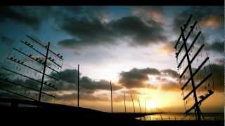 吳金黛- 金黃色寧靜《綠色方舟》 / Wu Judy Chin-tai - Golden Tranquility "GREEN ARK"