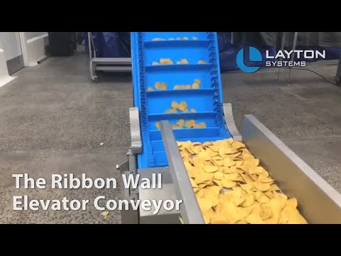 Layton Ribbon Wall Elevator Conveyor