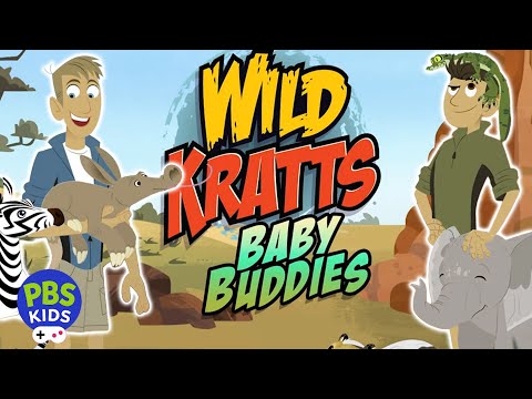 Wild Kratts Baby Buddies Video