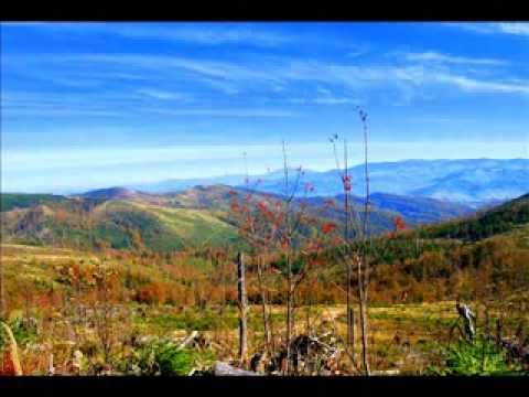 Adam Ziemianin  Nosi mnie