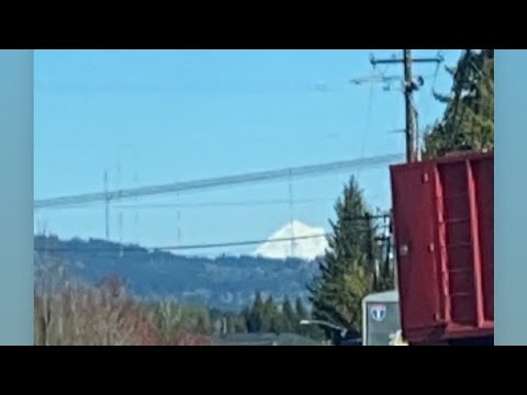 The Bible reading of the day: 2 Samuel 16:15-23 and 1 Corinthians 15:1-11