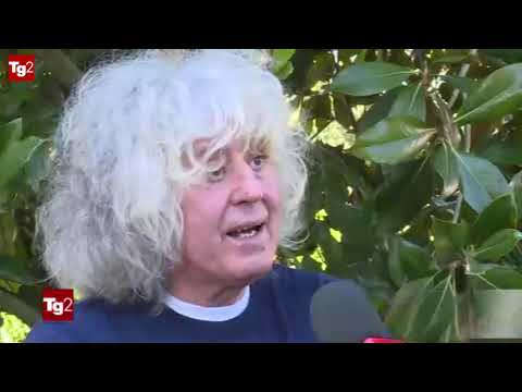 Branduardi, a 70 anni nuovo disco e tanta voglia di "futuro antico"