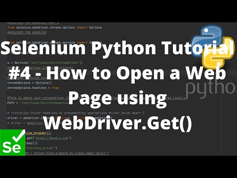 Python Selenium Webdriver Open Website
