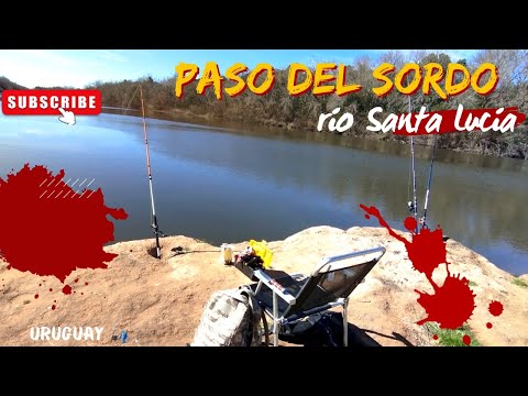 El inexplicable fracaso de pesca en Paso del Sordo (#Uruguay #pesca #naturaleza)@CazaypescaUruguay