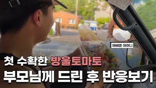부모님께 가장 먼저 드렸습니다.(감동주의)