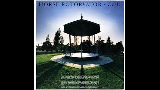 COIL – 04 Ostia (The Death Of Pasolini)