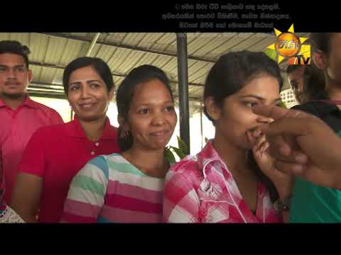 Hiru TV