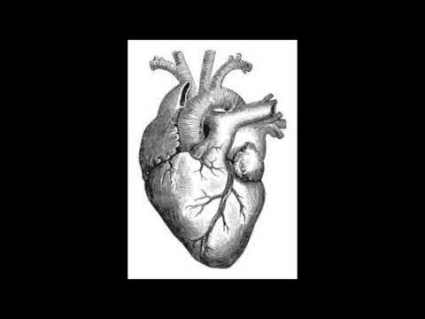 Se apagan los latidos/FVL