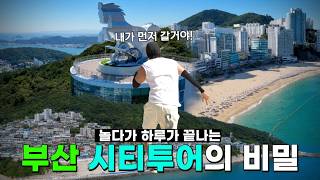 부산 여행은 이렇게 해야 제 맛! 장성규가 시티투어버스 타고 찾아간 곳｜흰여울문화마을의 이미지