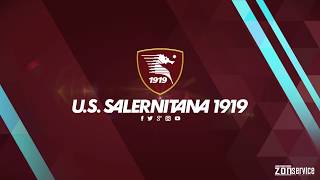 salernitana-pro-vercelli-i-precedenti