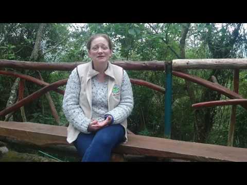 Kaya - Sustainable Economic and Community Development in Ecuador