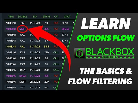 Begin MASTERING Options Flow and Filters with BlackBoxStocks