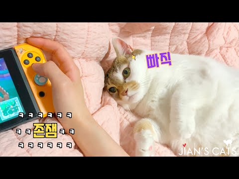 아이콘