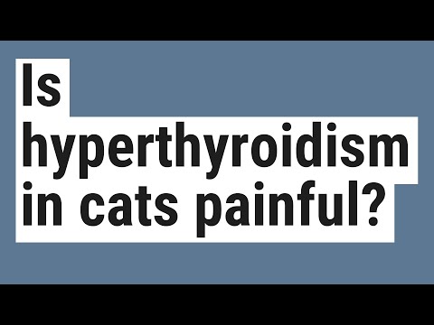 Is hyperthyroidism in cats painful?