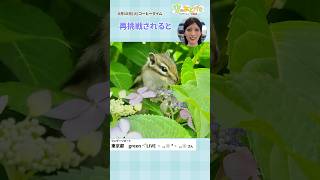【空のあとがき】岡本キャスターが気になったリポートは？6月10日 #通勤タイパ #岡本結子リサ
