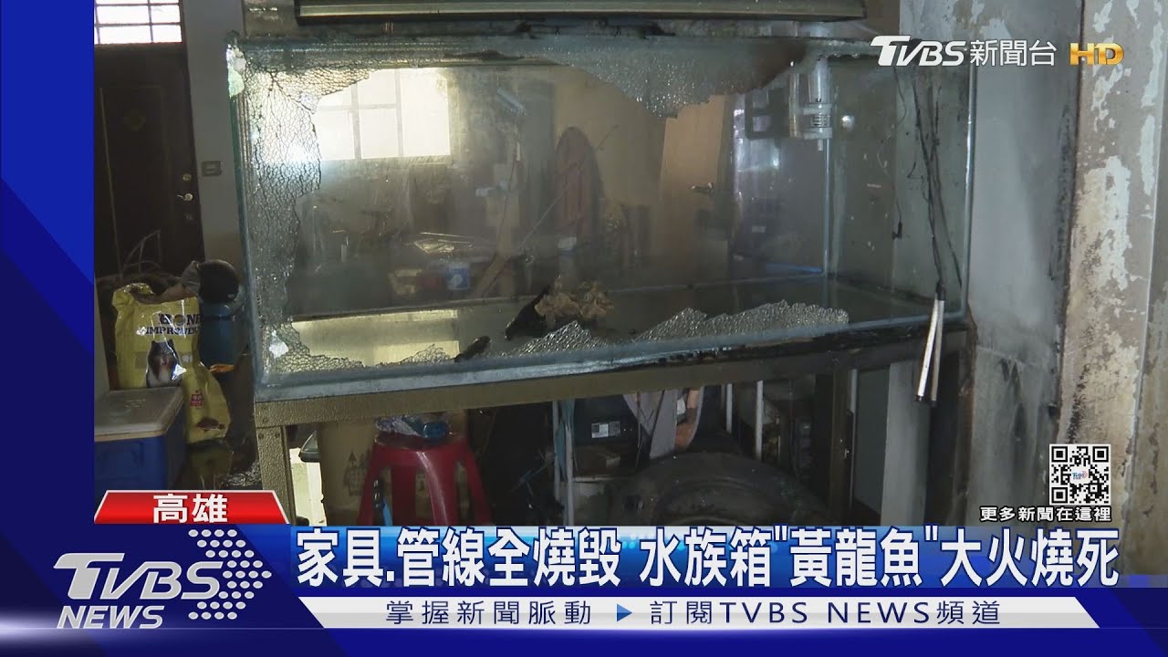聽水族箱「加熱棒」爆裂!透天厝陷火海 1家7口急逃生