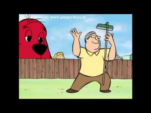 Clifford the Big Red Dog   s01e35
