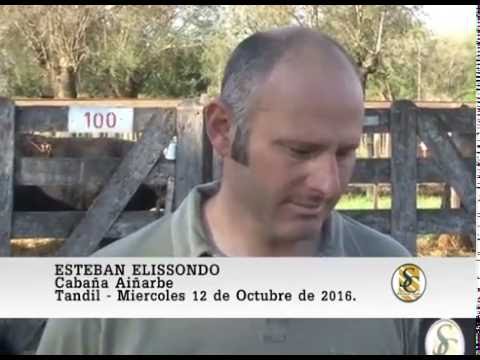 12-10-16 - Esteban Elissondo - Cabaña Aiñarbe - Tandil