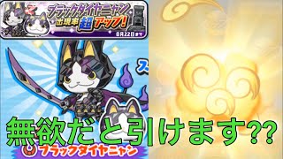 ブラックダイヤニャン超アップガシャ！特に欲しいわけでもないけど10連してみたの。     妖怪ウォッチぷにぷに#146