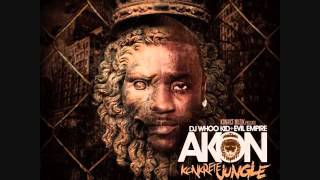 Akon - Forever with Lyrics NEW SONG 2013
