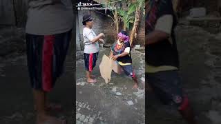 Download lagu Kumpulan tiktok lucu ngakak reog Ponorogo kuda lumping hiburan semua usia mp3