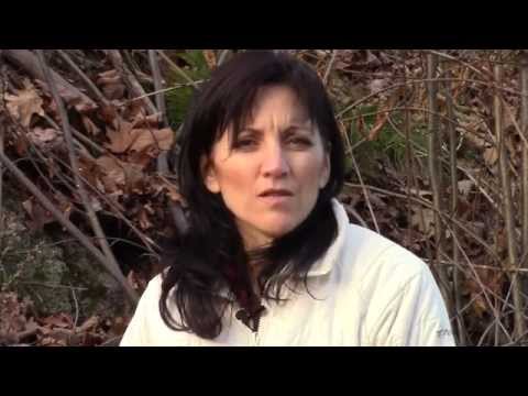 pourquoi la barre d'outil est en anglais