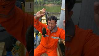 Download lagu Part 2 fishing in the cage, caught a really big louhan fish #fishing #bolang #fish mp3
