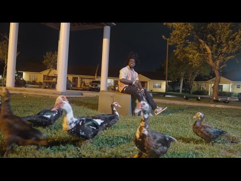 Kodak Black - Little Birdie  [Official Music Video]