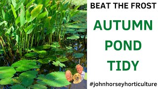 HOW TO SAVE YOUR WILDLIFE POND BEFORE WINTER STRIKES!
