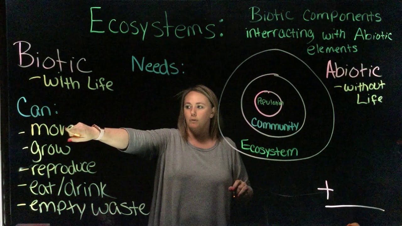 Ecosystem Anchor Chart