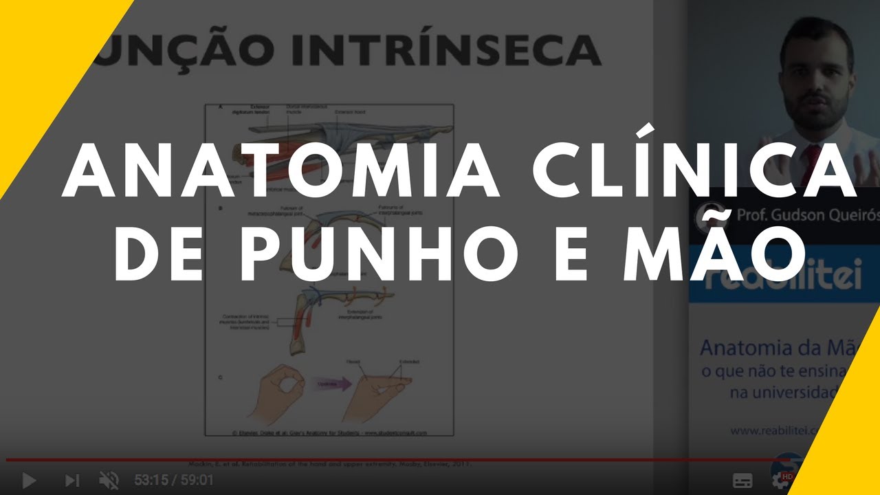 Anatomia de Mão e Punho