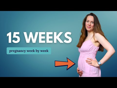 15 Weeks Pregnant 🤰 What to Expect: Changes for You & Baby Development