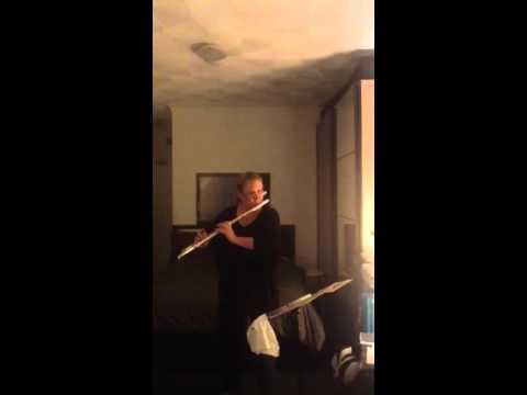 JS Bach Prelude BWV 1008 adrianaflute